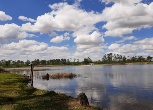 A serene lake surrounded by lush greenery and fluffy clouds in a blue sky, reflecting the landscape on the water's surface.