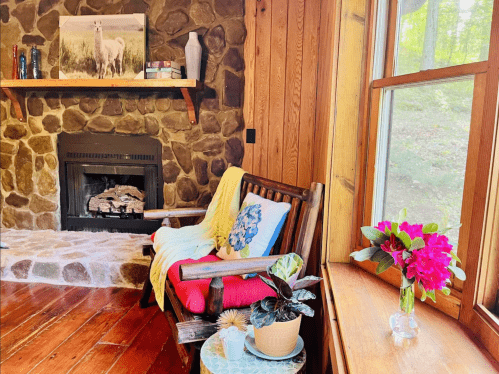 Cozy living room with a stone fireplace, wooden walls, a colorful couch, and a vase of flowers on a table.