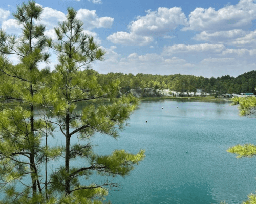 A serene lake surrounded by trees and a blue sky with fluffy clouds, reflecting a peaceful natural landscape.
