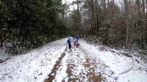 Children playing in the snow on a forest path, surrounded by trees and a snowy landscape.