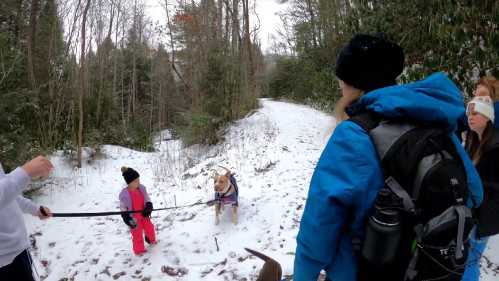 A snowy forest path with a child in pink snowsuit and a dog, while adults in winter gear watch nearby.