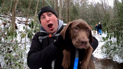A person excitedly holds a brown puppy in a snowy forest, with other people and dogs in the background.