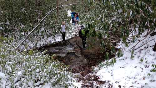 A snowy forest scene with a small stream, featuring people in the background among trees and greenery.