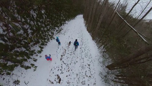 Aerial view of people walking on a snowy trail surrounded by tall trees in a winter landscape.