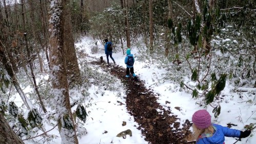 A snowy forest trail with two children and an adult walking, surrounded by trees and greenery.