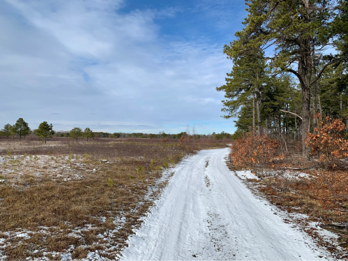 A snowy dirt path winds through a landscape of sparse trees and open fields under a partly cloudy sky.