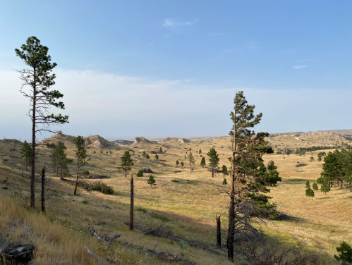 A scenic view of rolling hills and sparse trees under a clear blue sky, showcasing a tranquil natural landscape.