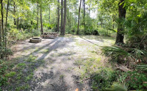 A clearing in a wooded area with a picnic table and a fire pit, surrounded by trees and greenery.