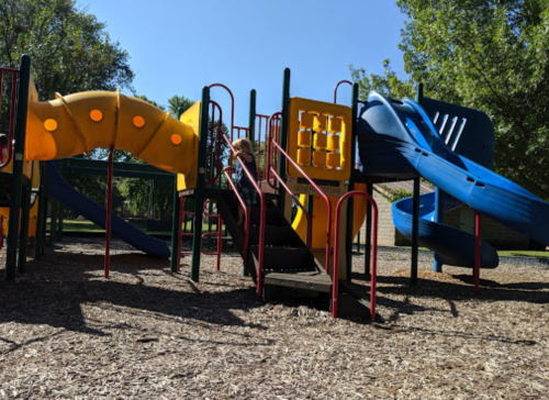 A colorful playground with slides and climbing structures surrounded by trees and mulch.
