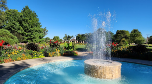 A sunny park scene featuring a fountain surrounded by colorful flowers and greenery.