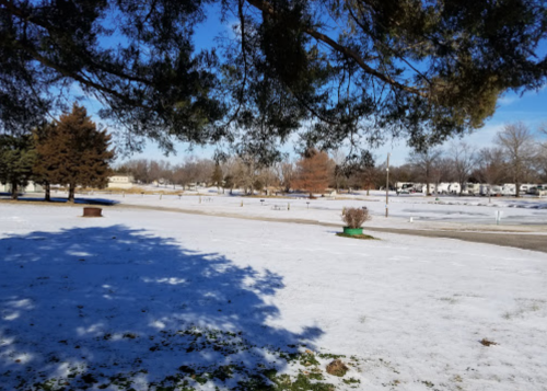 A snowy landscape with trees casting shadows, featuring a clear blue sky and distant buildings in the background.