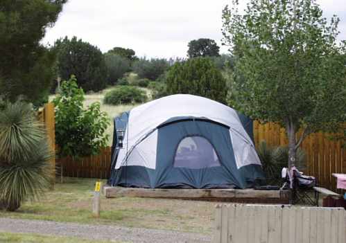 A large tent set up in a grassy area, surrounded by trees and a wooden fence.