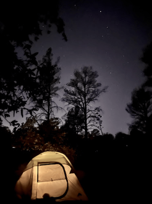 A tent illuminated at night, surrounded by trees under a starry sky.
