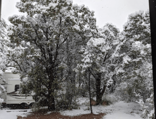 A snowy landscape with trees covered in snow and a camper visible in the background.
