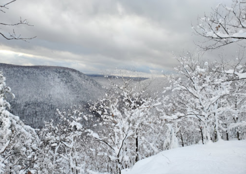 A snowy landscape with trees covered in white, overlooking a misty valley under a cloudy sky.