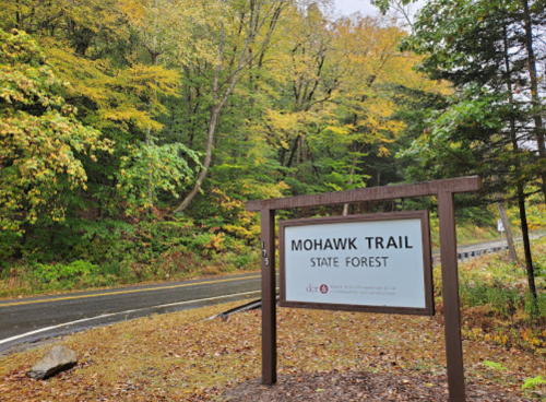 Sign for Mohawk Trail State Forest, surrounded by colorful autumn foliage and a winding road.