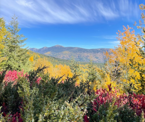 A vibrant autumn landscape with colorful trees and mountains under a clear blue sky.