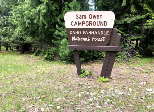 Sign for Sam Owen Campground in Idaho Panhandle National Forest, surrounded by trees and grassy area.