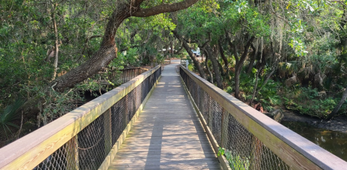 A wooden bridge surrounded by lush greenery, leading into a serene natural area.