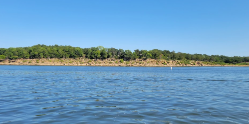 A calm river scene with clear blue water and a lush green shoreline under a bright blue sky.