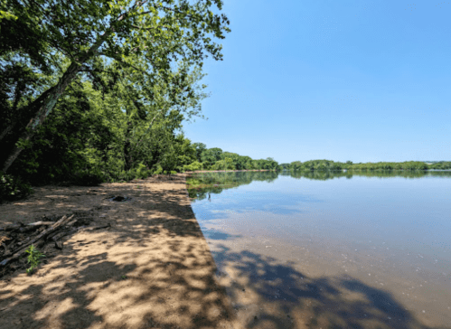 A serene riverbank scene with sandy shore, lush green trees, and calm water under a clear blue sky.