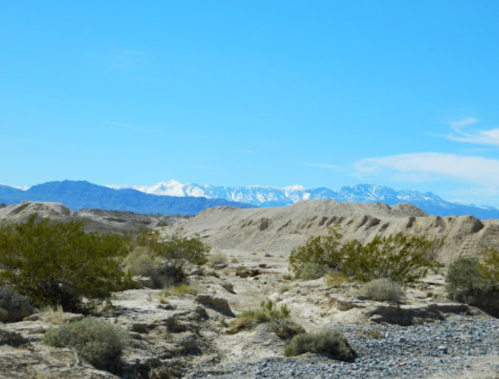 A desert landscape with rocky terrain and sparse vegetation, framed by distant snow-capped mountains under a clear blue sky.