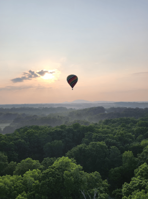 A colorful hot air balloon floats above lush green trees at sunrise, with misty hills in the background.