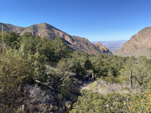 A scenic view of mountains and trees under a clear blue sky, with a hiking trail winding through the landscape.