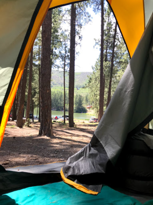 View from inside a tent, showcasing tall trees and a serene lake in the background.