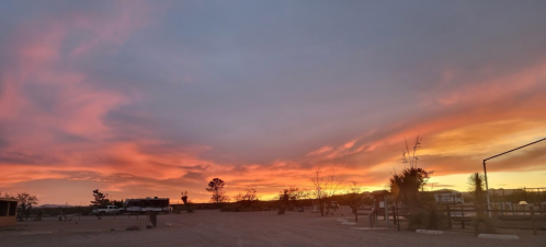 A vibrant sunset paints the sky in shades of orange and pink, with silhouettes of trees and a distant horizon.