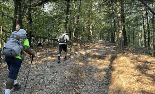 Two hikers ascend a rocky trail through a lush, green forest on a sunny day.