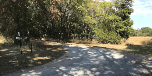 A gravel road curves through a wooded area with trees and tall grass on either side under a clear blue sky.