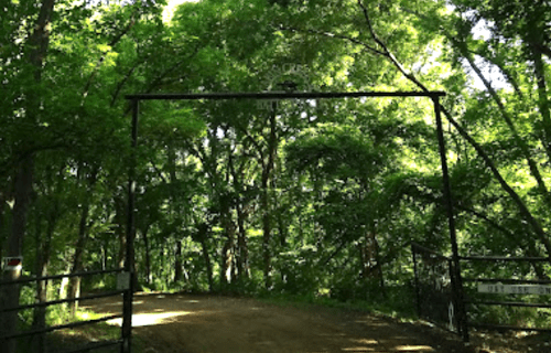 A metal gate stands at the entrance of a lush, green forest path, surrounded by dense trees and sunlight.
