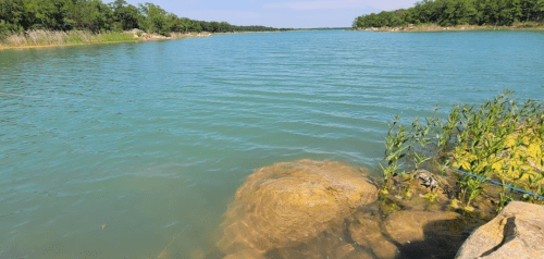 A serene lake scene with clear blue water, rocky shore, and lush greenery along the banks under a bright sky.