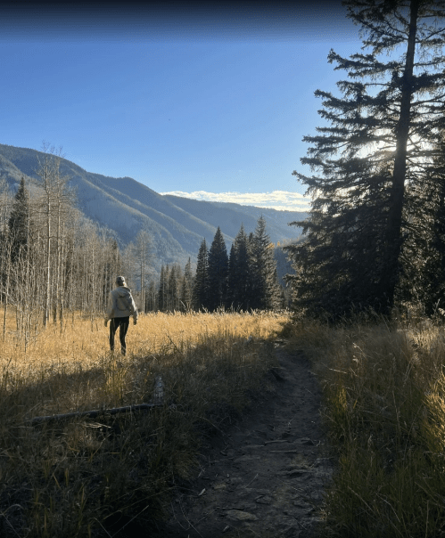 A person walks along a trail in a mountainous landscape, surrounded by tall trees and golden grass under a clear blue sky.