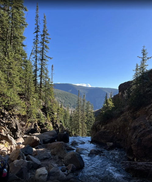 A serene mountain landscape with a flowing stream, tall pine trees, and a clear blue sky in the background.