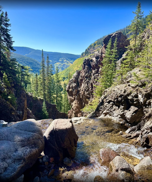 A serene landscape featuring a rocky stream surrounded by tall pine trees and mountains under a clear blue sky.