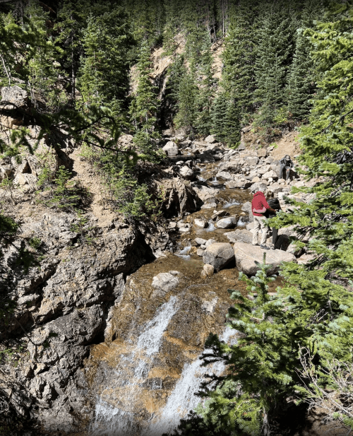 A serene forest scene featuring a rocky stream and two people exploring near a waterfall surrounded by pine trees.