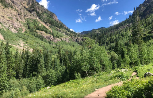 A scenic mountain landscape with lush green trees, a clear blue sky, and a winding dirt path through the valley.