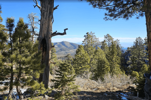 A scenic view of mountains and trees under a clear blue sky, with snow patches on the ground.
