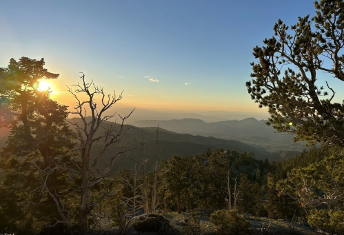 Sunset over a mountainous landscape, with silhouetted trees in the foreground and a hazy horizon in the distance.