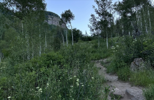 A winding dirt path through lush greenery and aspen trees, leading towards a rocky cliff in the background.