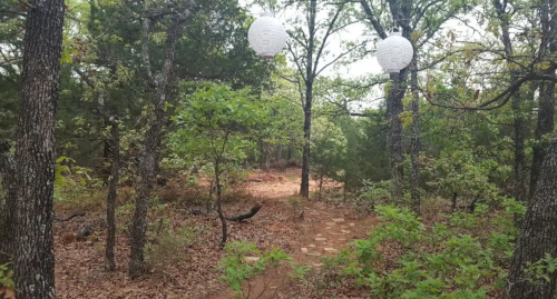 A wooded path surrounded by trees, with white lanterns hanging above, and scattered leaves on the ground.