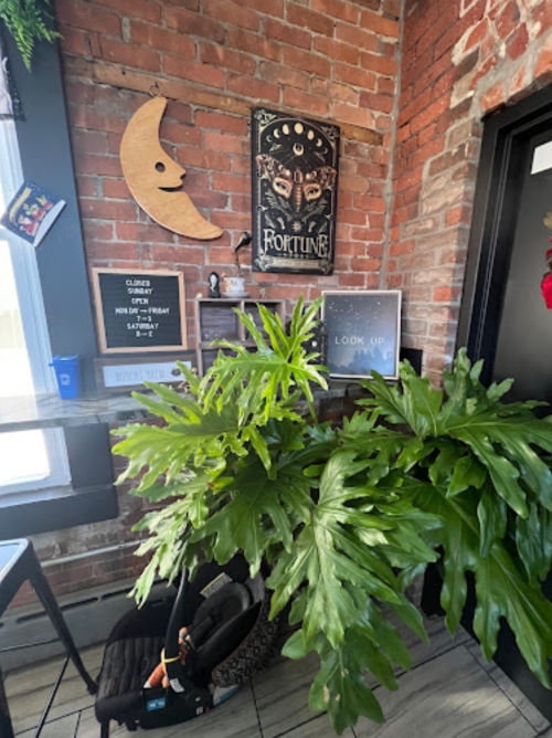 A cozy corner with brick walls, a moon decoration, plants, and framed art pieces, including a fortune sign.