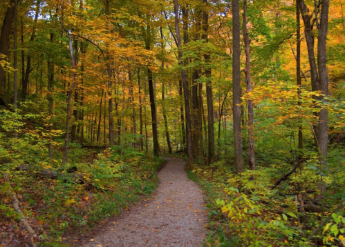 Fox Ridge State Park: State Park In Illinois With Overlook
