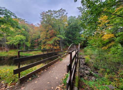 A wooden bridge over a calm stream, surrounded by colorful autumn foliage and lush greenery.