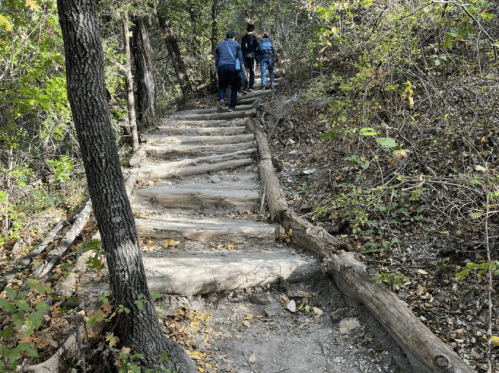 A wooded trail with log steps, people walking uphill surrounded by trees and autumn foliage.
