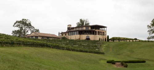 A panoramic view of a vineyard estate with a large house on a hill, surrounded by lush green fields under a cloudy sky.
