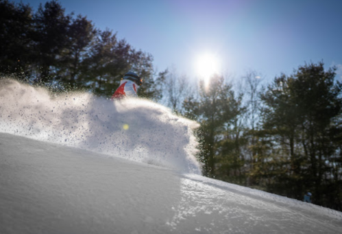 A skier carves through fresh snow, creating a spray of powder against a backdrop of trees and a bright sun.