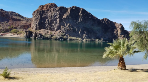 A serene landscape featuring a calm lake, rocky cliffs, and a palm tree along the shore under a clear blue sky.